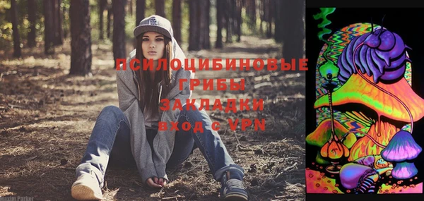 MDMA Заводоуковск