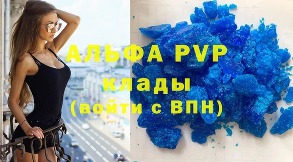 PSILOCYBIN Ельня