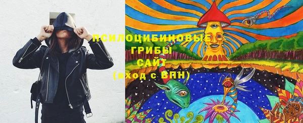MDMA Заводоуковск
