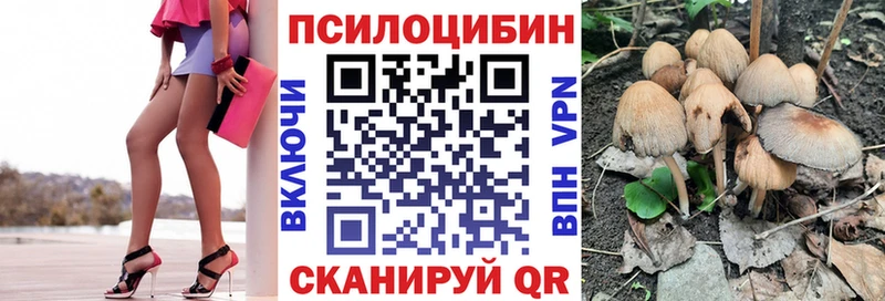 Галлюциногенные грибы мухоморы как найти закладки shop как зайти Хвалынск